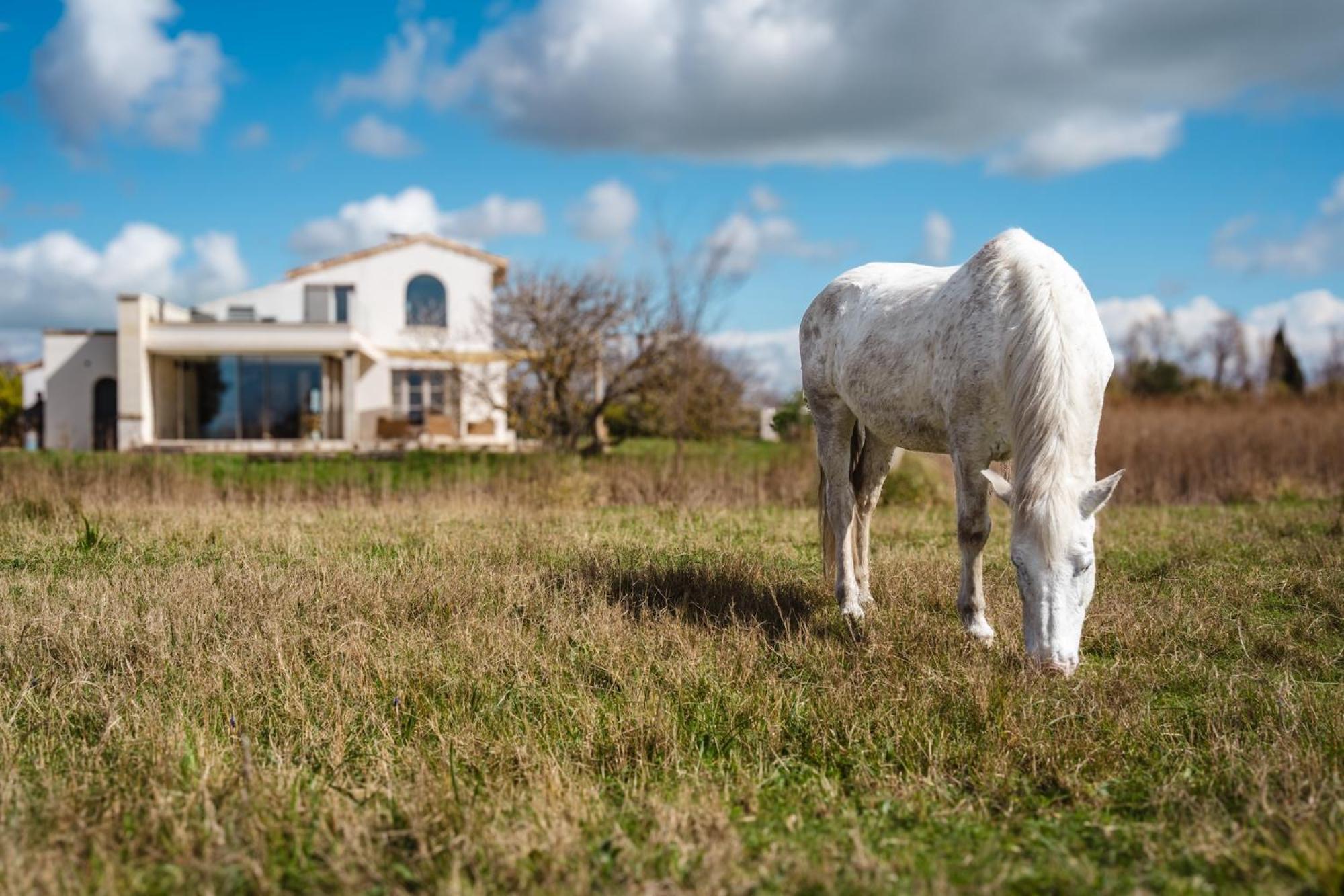 סן-מארי-דה-לה-מאר Mas Du Couvin, Maison D'Hotes En Camargue מראה חיצוני תמונה
